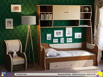 ДЕТСКАЯ СТЕНКА С РАЗДВИЖНОЙ КРОВАТЬЮ ТРИУМФ -3 (СТАРТОВАЯ КОМПЛЕКТАЦИЯ)