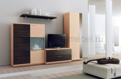 ГОСТИНАЯ КОМНАТА ТАНУКИ (КОМПОЗИЦИЯ 5)