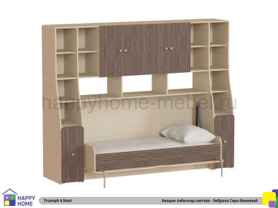 ДЕТСКАЯ СТЕНКА С ОТКИДНОЙ КРОВАТЬЮ ТРИУМФ - 4 (СТАРТОВАЯ КОМПЛЕКТАЦИЯ)